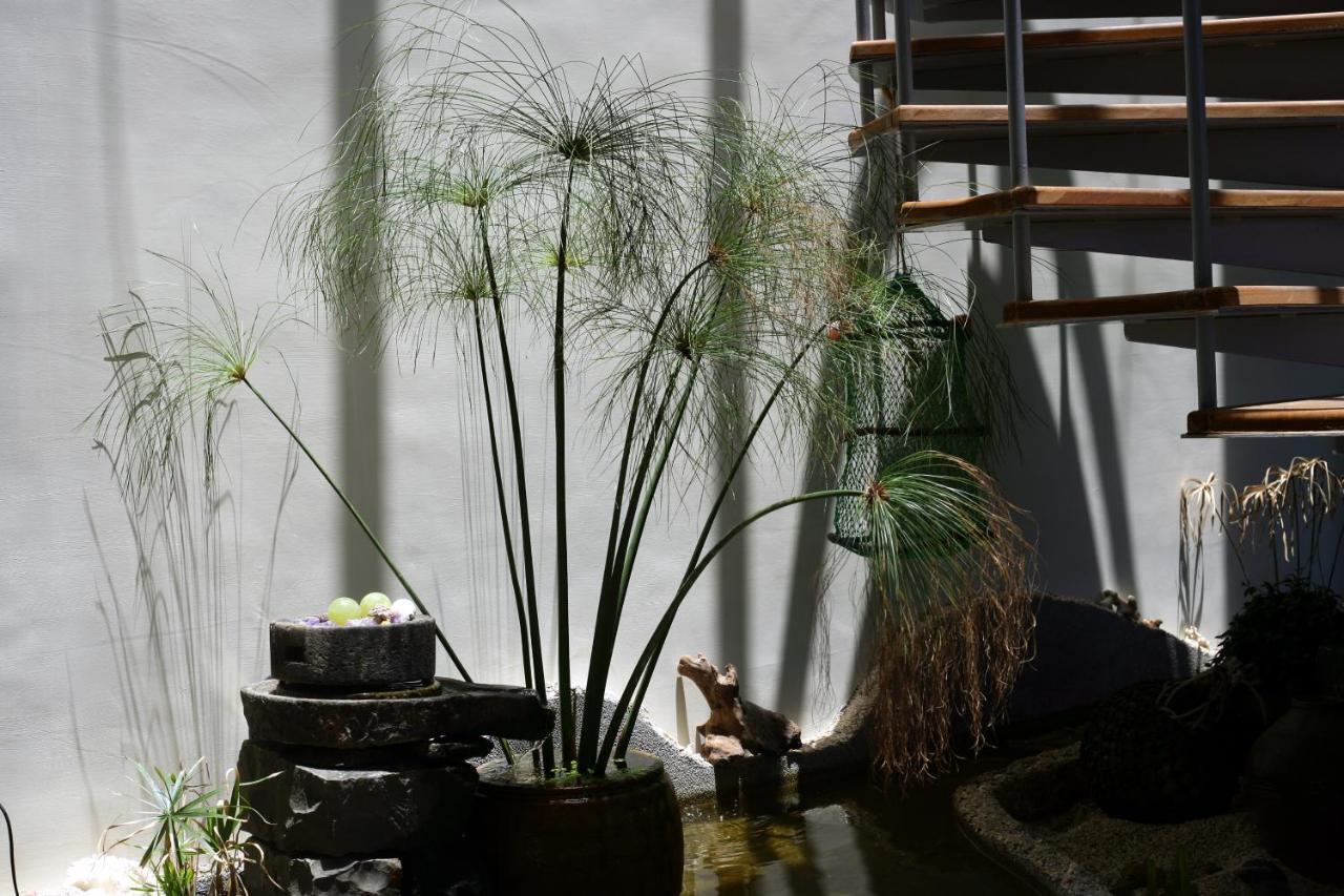 דירות מאקונג Penghu Kite House מראה חיצוני תמונה